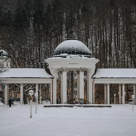Orea Spa Hotel Cristal-2