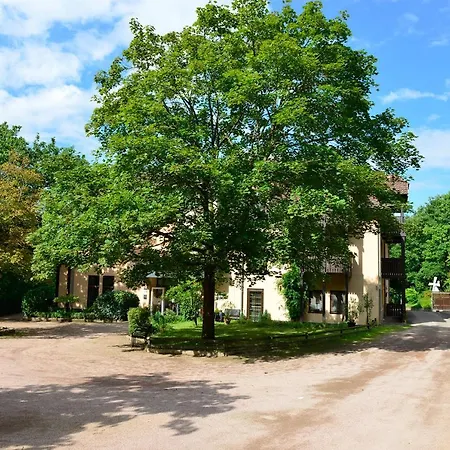 Hotel Neugebauer Am Rheinsteig-3