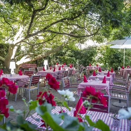 Hotel Restaurant Aux Sapins-2