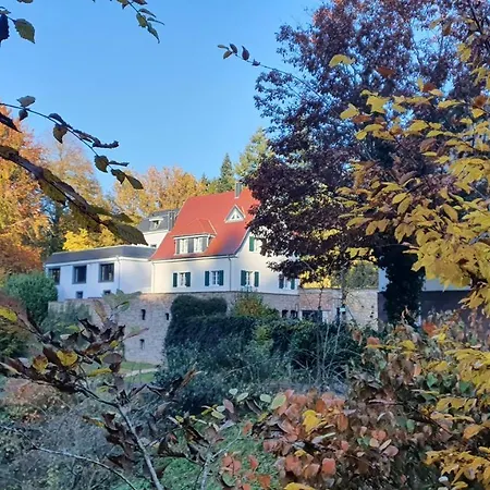 Gut Lindenfels-2