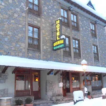 Hotel Avenida Benasque-3