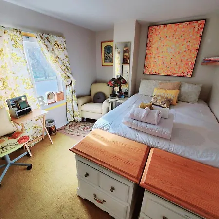 Room In Apartment - Cozy Yellow Queen Bed By Yale U-3
