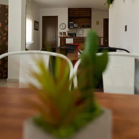 El Hostal de Violeta-3