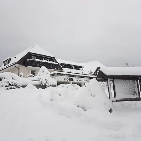 Hotel Zum Poppschen Gut-2