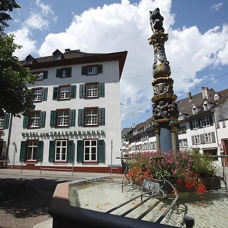 Spalenbrunnen Hotel&Restaurant Basel City Center-3