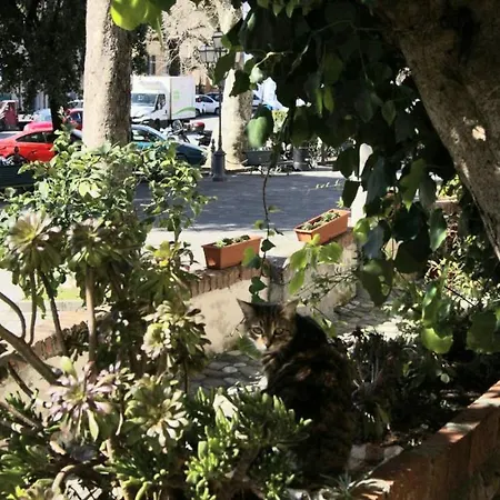 Affittacamere La Loggia-2