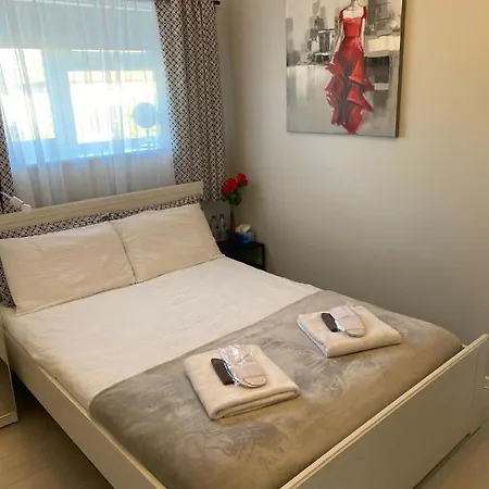Comfortable Rooms In The House-2