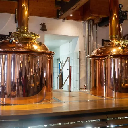 Hotel Brauhaus Wiesenmühle-3
