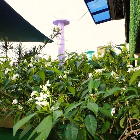 Hotel Casa Miller-3