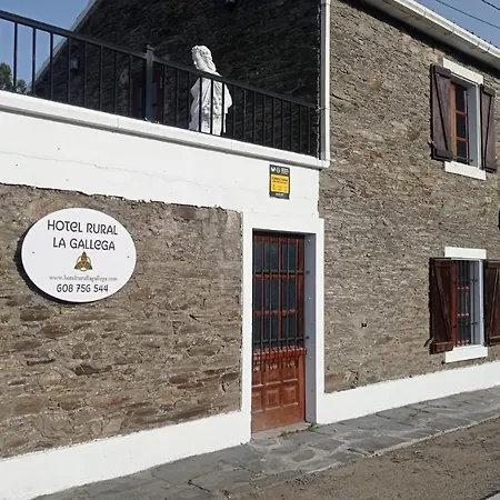 La Gallega-2