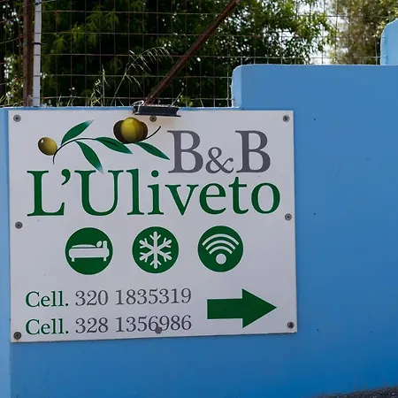B&B L'Uliveto Rooms & Pool-3