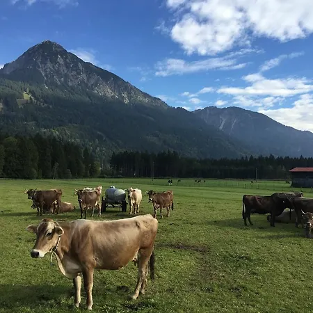 Steinbock Bed&Breakfast-2