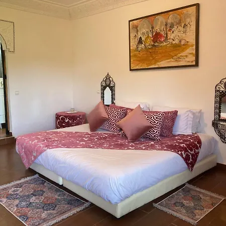 Riad Hamdani-2