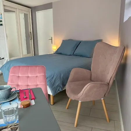 Grande Chambre D'Hote Centre Ville-2