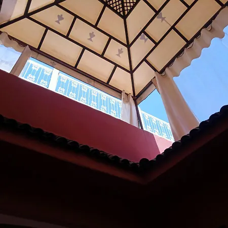 Riad Tifor-2