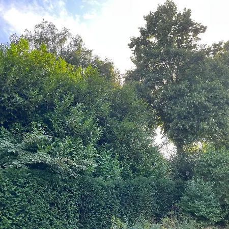 Zwols Groen-3