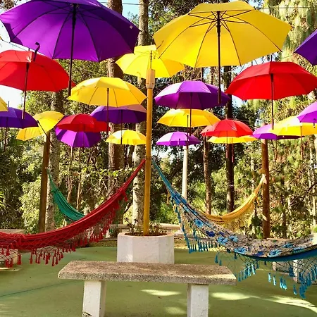 Pousada Serra Das Araucarias Petfriendly - Caofe Da Manha Pet-2