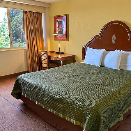 Golden Green Hotel By Oyo Charlotte-3