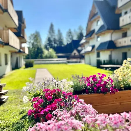 Nosal Ski & Wine Apartments-3
