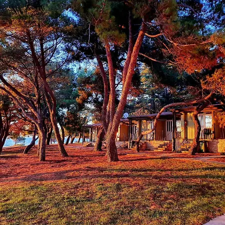 Family Bungalow Pineta-2