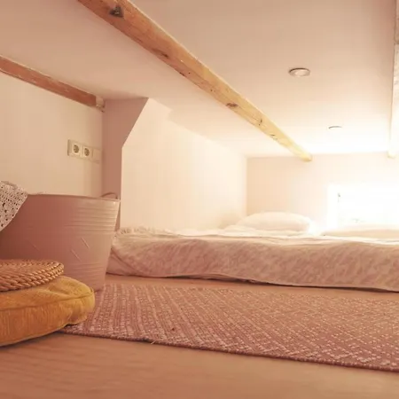 Lovely And Charming Guesthouse Near City Center, Close To Rotterdam-2