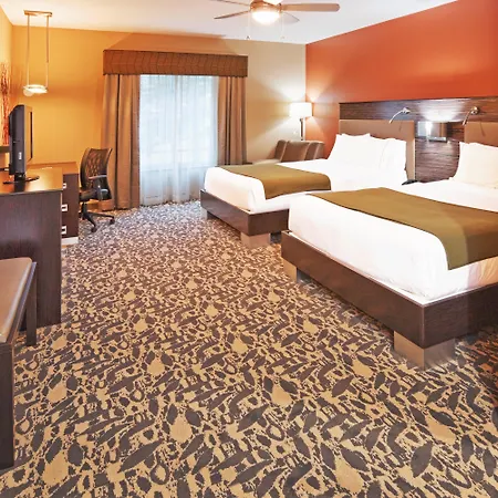 Holiday Inn Express & Suites North Dallas At Preston By Ihg-2