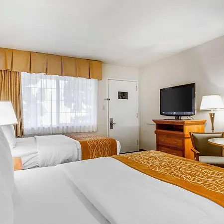 The Inn At 1252 Monterey-2