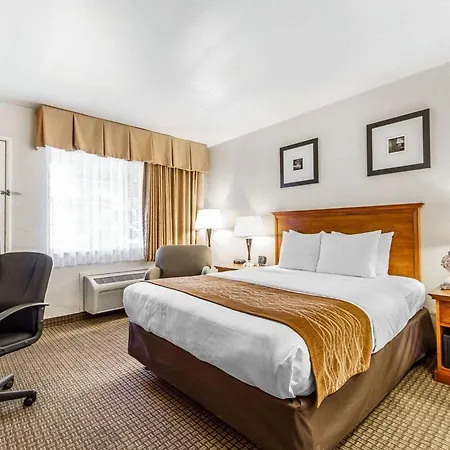 The Inn At 1252 Monterey-3