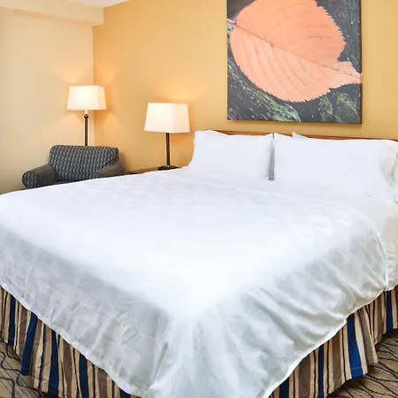 Holiday Inn & Suites Chicago-Downtown By Ihg-2