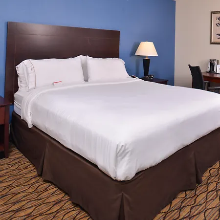 Holiday Inn Express & Suites Central Omaha By Ihg-3