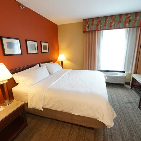 Holiday Inn Express Hotel & Suites Tampa-Oldsmar By Ihg-2