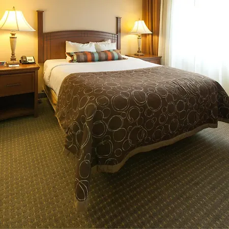 Staybridge Suites Lubbock-University Area By Ihg-2