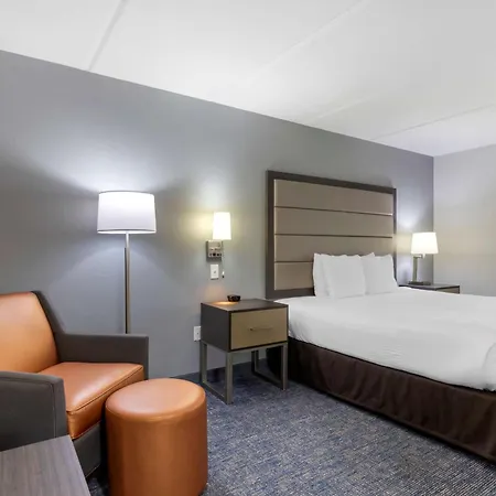 Best Western Plus Mcallen Airport Hotel-3
