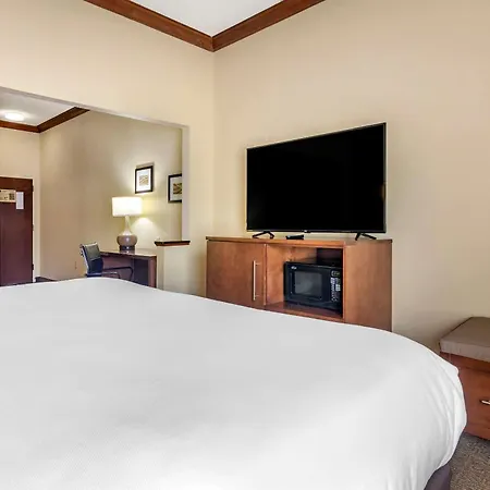Comfort Inn & Suites Statesboro - University Area-3