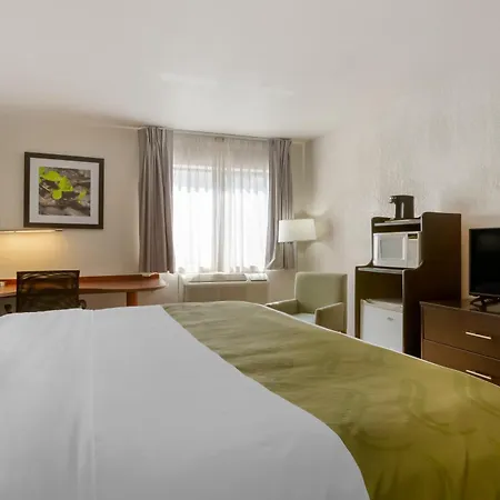 Quality Inn Alexis Rd-2
