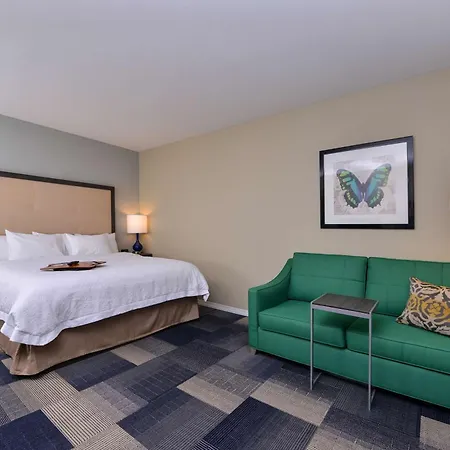 Hampton Inn Broussard-Lafayette-3