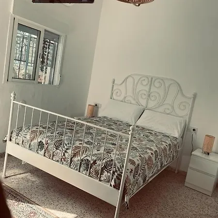 Amir B&B-3