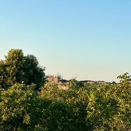 Casale Tauro-2