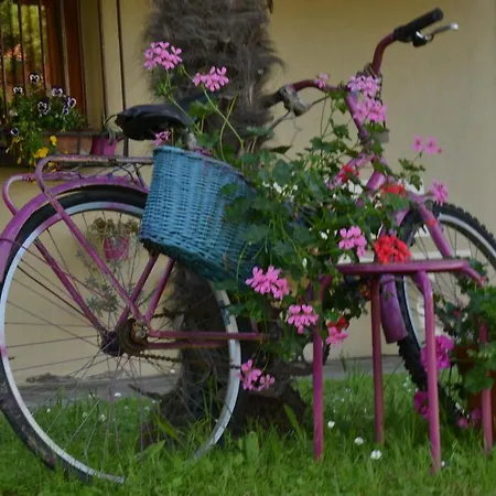 B&B Al Mare Di Greis-3
