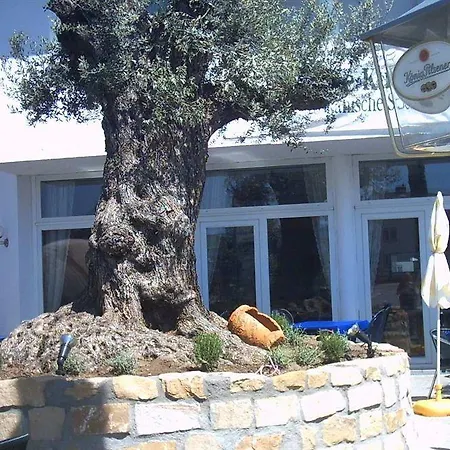 Hotel Restaurant Artemis-3