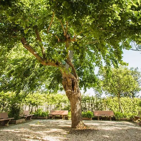 Isa-Il Casale Di Donoratico, Residence With Swimming Pool Just 5 Minutes From The Beach Of Marina Di Castagneto-2