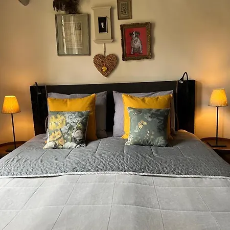 B&B De Kamer Hiernaast-3