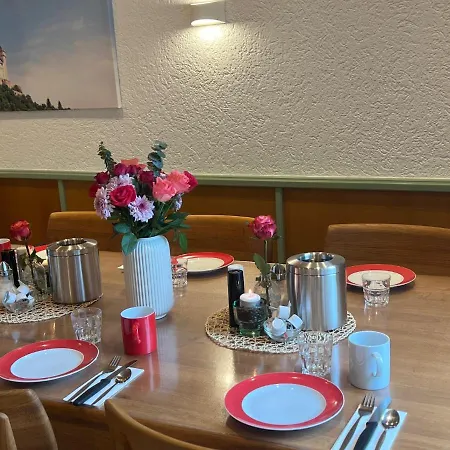Mittelrhein Pension-3