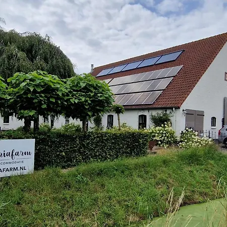 Mariafarm Boutique Hotel-3