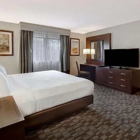Embassy Suites By Hilton Jacksonville Baymeadows-2