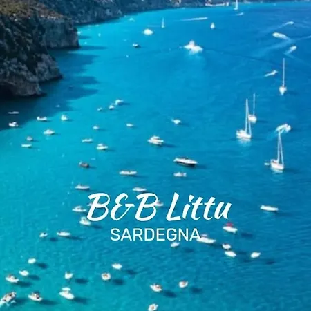 B&B Littu-3