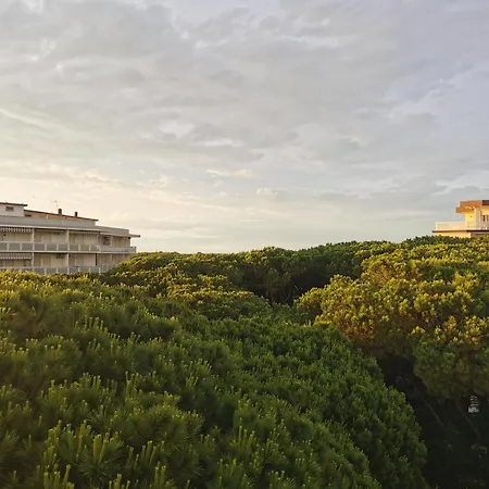 Hotel Pine Beach-2