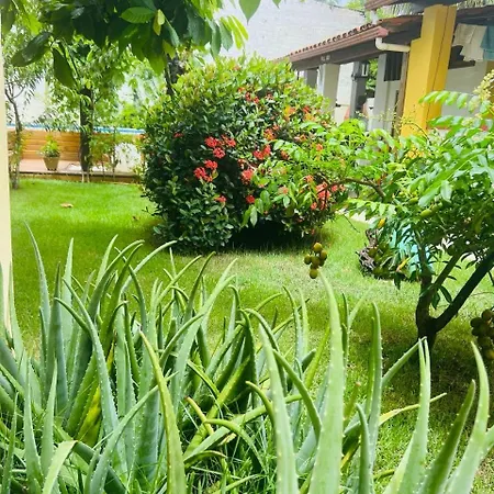 Casa com Piscina-3