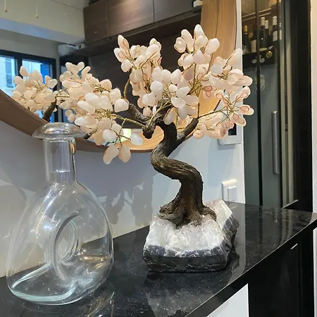 Chambre Via Natina-2