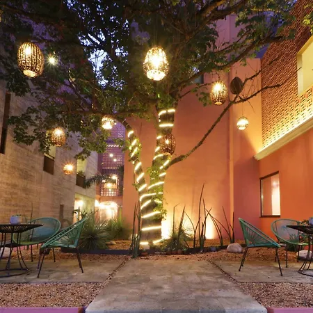 City Centro By Marriott Oaxaca-2